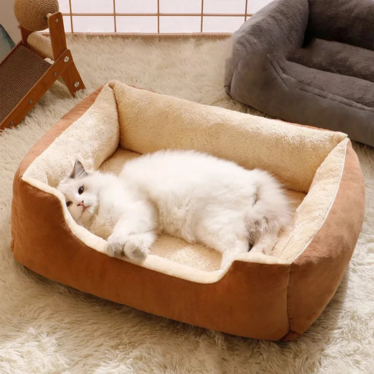 The Purr Rest Bed